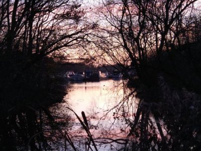 Colwick Lake at sunset, framed by bare, silhouetted trees and reeds.